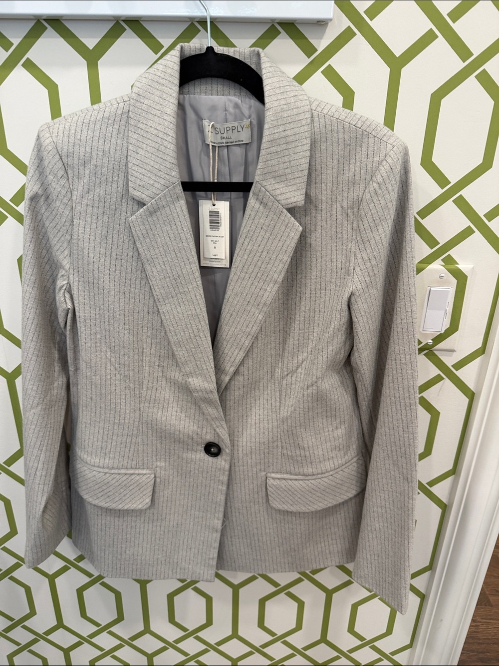 Z Supply Beautiful Light Gray Pinstripe Single-Button Blazer